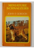 Miniature Schnauzers