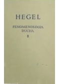 Fenomenologia ducha II