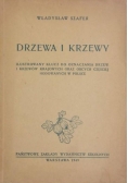 Drzewa i krzewy, 1949r.