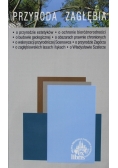 Przyroda Zagłębia