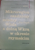 Mikroregion osadniczy między Wisłą a dolną Wkrą w okresie rzymskim