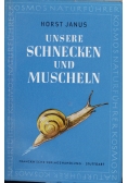 Unsere Schnecken und Muscheln
