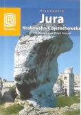 Jura Krakowsko-Częstochowska