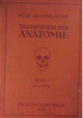 Taschenbuch der Anatomie