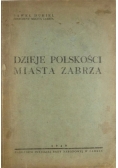 Dzieje polskości miasta Zabrza