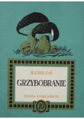 Grzybobranie