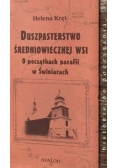 Duszpasterstwo średniowiecznej wsi