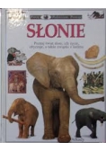 Słonie