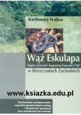 Wąż Eskulapa w Bieszczadach Zachodnich