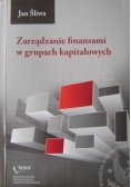 Zarządzanie finansami w grupach kapitałowych