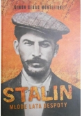 Stalin. Młode lata despoty