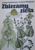 Zbieramy zioła
