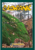 Słowianić nr 2