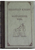 Moje leczenie wodą, 1895r.