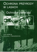Ochrona przyrody w lasach