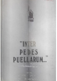Inter Pedes Puellarum...