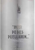 Inter Pedes Puellarum…