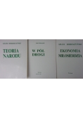 Ekonomia miłosierdzia/W pół drogi/Teoria narodu