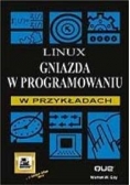 Linux gniazda w programowaniu