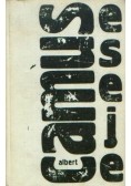 Esej