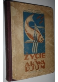 Życie w Akwarium 1927 r.
