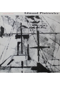 Edmund Piotrowicz