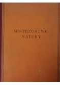 Mistrzostwo natury, 1936r.