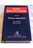 System Prawa Prywatnego Tom 13