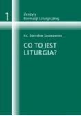 Co to jest liturgia/ Znak i posługa światła w liturgii