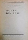 Roślinność dna lasu