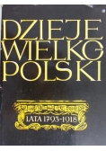 Dzieje Wielkopolski, Tom II