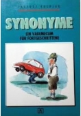 Synonyme Ein Vademecum fur Fortgeschrittene