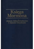 Księga moralna Jeszcze Jedno Świadectwo o Jezusie Chrystusie