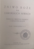 Żniwo Boże na zamorskich niwach, 1931 r.