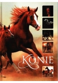 Konie