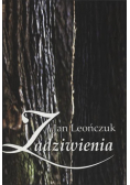 Zadziwienia