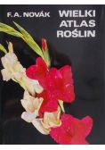 Wielki atlas roślin