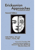 Ericksonian Approaches