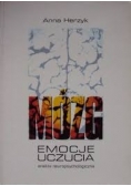 Mózg, emocje, uczucia analiza neuropsychologiczna