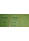 Socjologia ogólna. Tom I-III