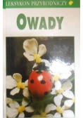 Owady