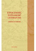 Etniczność tożsamość literatura