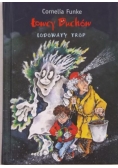 Łowcy duchów. Lodowaty trop