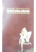 Kamień pełen pokarmu