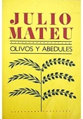 Olivos y abedules