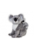 Koala z dzieckiem