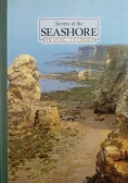Secrets of the Seashore