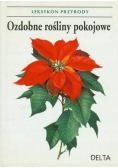 Ozdobne rośliny pokojowe