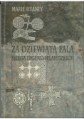 Za dziewiątą falą księga legend Irlandzkich