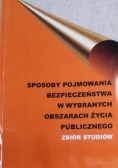 Sposoby pojmowania bezpieczeństwa w wybranych obszarach życia publicznego